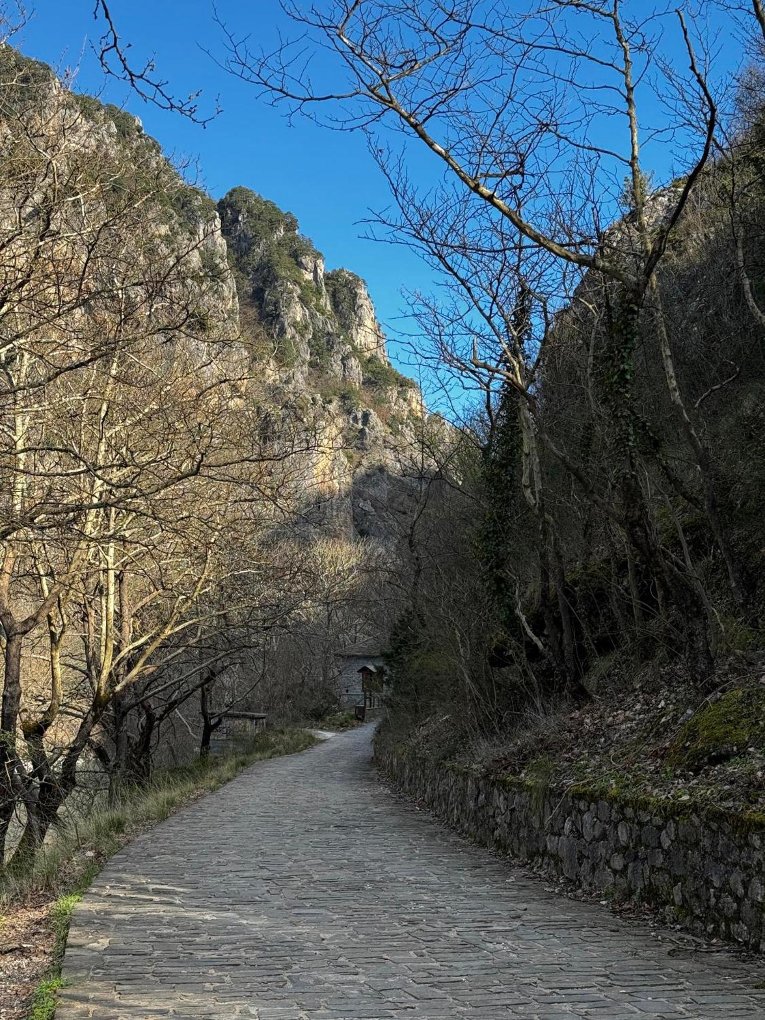 Mountain Serenity Konitsa Exterior photo